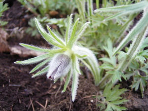 http://www.j-field.info/blog/assets_c/2010/05/画像 362-thumb-300x225-519-thumb-300x225-520.jpg